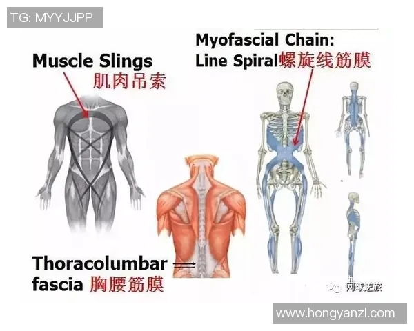 西安网球队技术深度解析与训练方法探讨